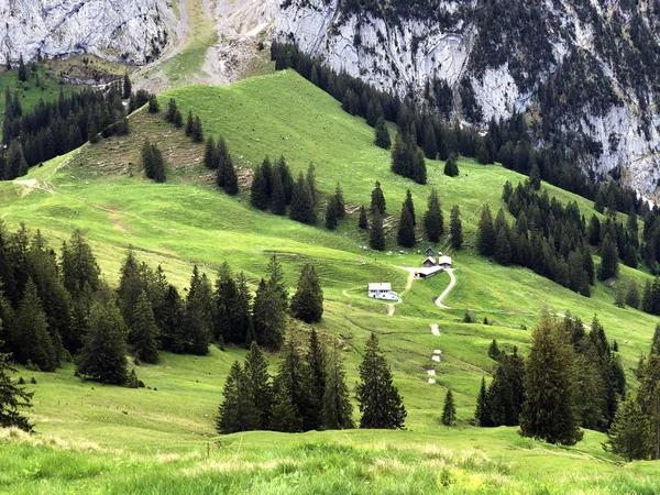 Pascoli Alpini Prati Nella Valle Wagital Waegital Presso Lago Alpino — Foto Stock