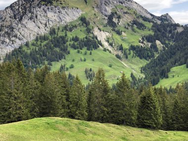 Wagital veya Waegital vadisinde ve Alp gölü Wagitalersee (Waegitalersee), Innerthal - Kaçton Schwyz, İsviçre