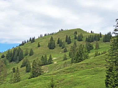 Hill Bruschstockbugel (Brueschstockbuegel) alp gölü Wagitalersee veya Waegitalersee, Innerthal yukarıda - Schwyz Kantonu, İsviçre
