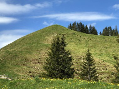Hill Bruschstockbugel (Brueschstockbuegel) alp gölü Wagitalersee veya Waegitalersee, Innerthal yukarıda - Schwyz Kantonu, İsviçre