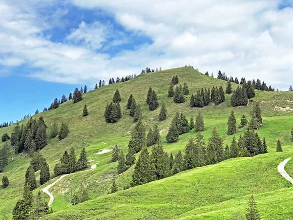 Hügel Bruschstockbügel Über Dem Wagitalersee Oder Waegitalersee Innerthal Kanton Schwyz — Stockfoto