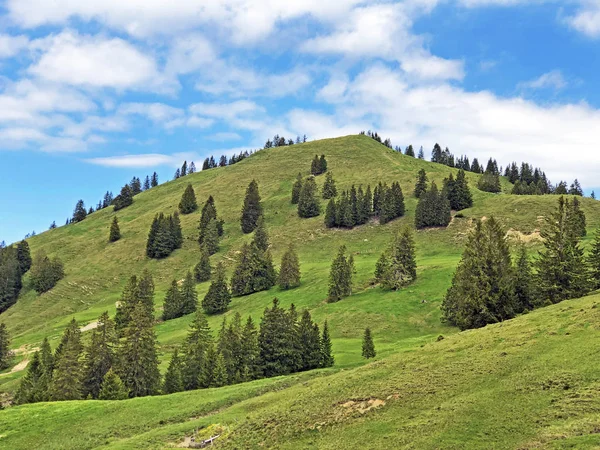 Hill Bruschstockbugel Brueschstockbuegel Acima Lago Alpino Wagitalersee Waegitalersee Innerthal Cantão — Fotografia de Stock