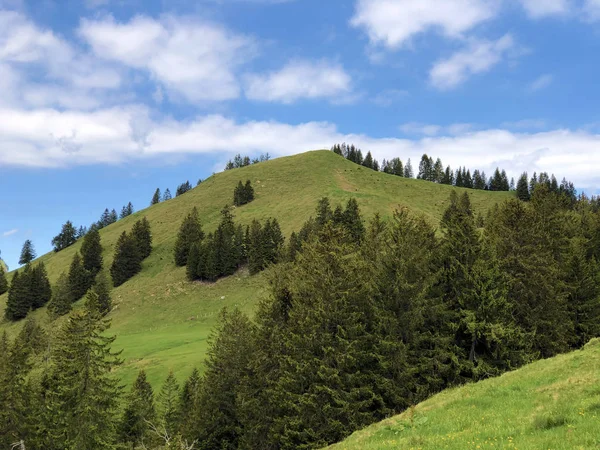 Hill Bruschstockbugel Brueschstockbuegel Alp Gölü Wagitalersee Veya Waegitalersee Innerthal Yukarıda — Stok fotoğraf