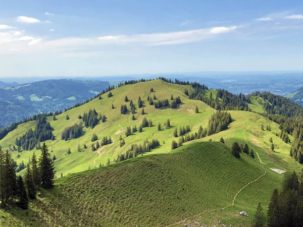 Collina Bruschstockbugel Brueschstockbuegel Sopra Lago Alpino Wagitalersee Waegitalersee Innerthal Canton — Foto Stock