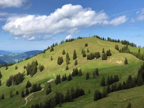Hill Bruschstockbugel Brueschstockbuegel Alpine Lake Wagitalersee Waegitalersee Innerthal Canton Schwyz — Stock Photo, Image