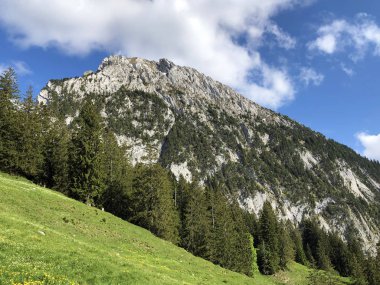 Wagital vadisi veya Waegital ve Wagitalersee alp gölü (Waegitalersee), Innerthal - Schwyz Kantonu, İsviçre üzerinde Schiberg dağı