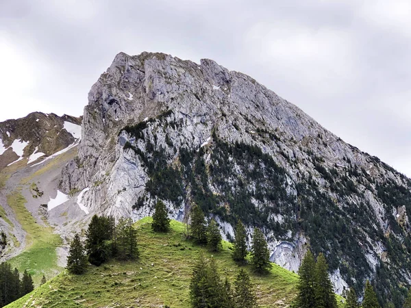 Montagne Schiberg Dessus Vallée Wagital Waegital Lac Alpin Wagitalersee Waegitalersee — Photo