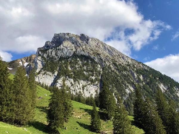 Wagital vadisi veya Waegital ve Wagitalersee alp gölü (Waegitalersee), Innerthal - Schwyz Kantonu, İsviçre üzerinde Schiberg dağı