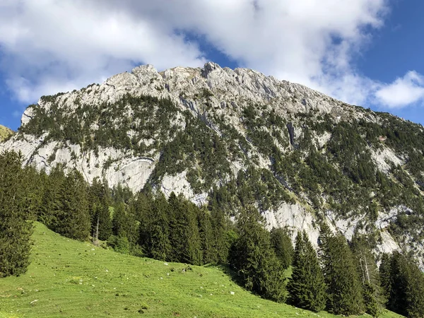Montagne Schiberg Dessus Vallée Wagital Waegital Lac Alpin Wagitalersee Waegitalersee — Photo