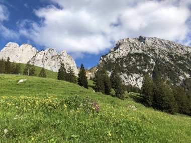 Bockmattlistock ve Schiberg Dağları vadi Wagital veya Waegital ve alp Gölü Wagitalersee (Waegitalersee), Innerthal - Kandon Schwyz, İsviçre