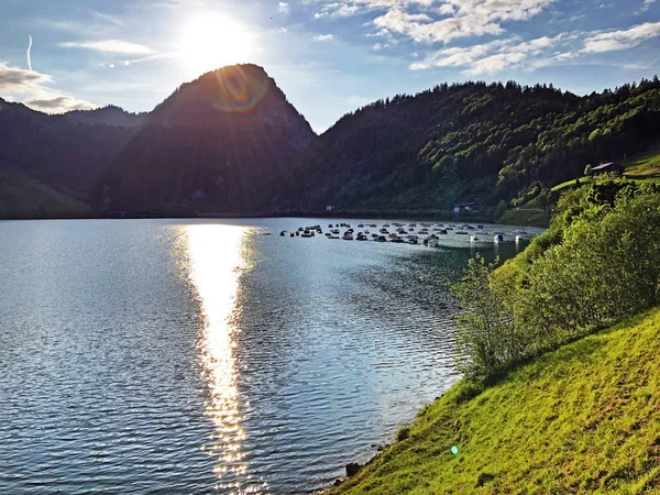 バレーワギタルまたはワギタル湖と高山の上のグロスオーブリッグ山 ワギタレルゼー インナータール シュヴィーツ州 スイス — ストック写真