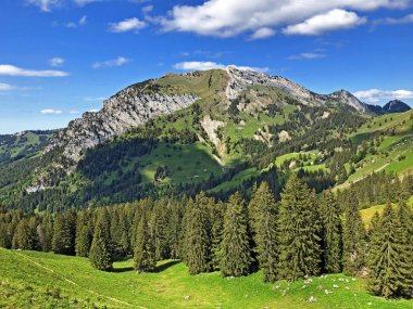 Chopfenberg veya Choepfenberg Dağı vadi Wagital veya Waegital ve alp Gölü Wagitalersee (Waegitalersee), Innerthal - Kandon Schwyz, İsviçre yukarıda