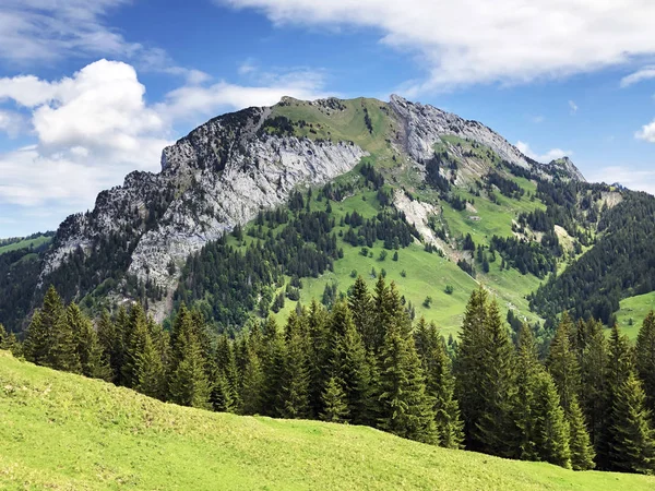 Góra Chopfenberg Lub Choepfenberg Nad Doliną Wagital Lub Waegital Alpine — Zdjęcie stockowe