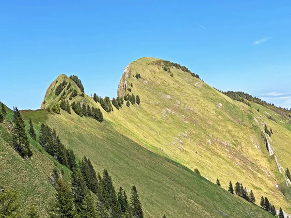 Muntele Tierberg Deasupra Văii Wagital Sau Waegital Lacul Alpin Wagitalersee — Fotografie, imagine de stoc