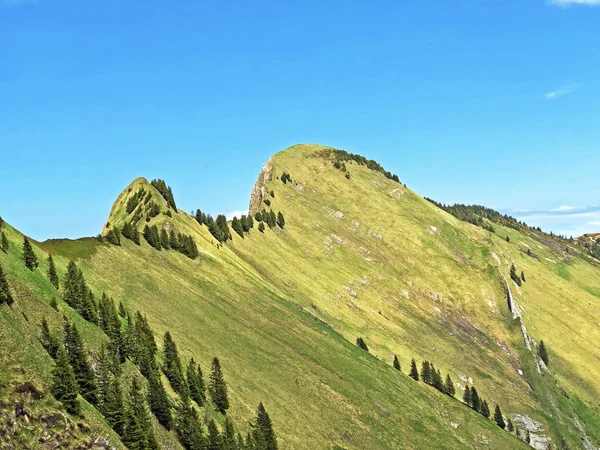 Montaña Tierberg Sobre Valle Wagital Waegital Lago Alpino Wagitalersee Waegitalersee —  Fotos de Stock