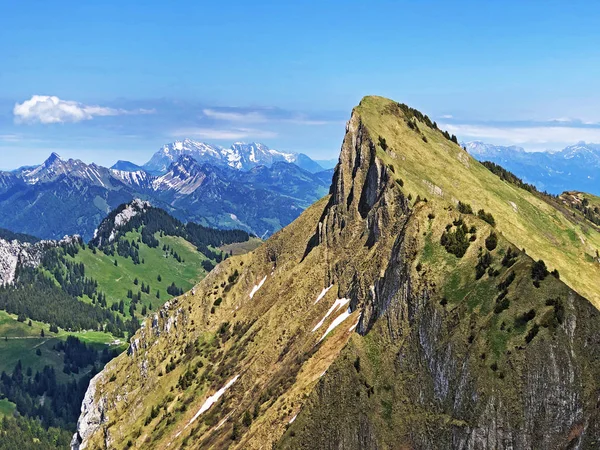 バレーワギタルまたはワギタル湖と高山の上のティアベルク山 ワギタレルゼー インナータール シュヴィーツ州 スイス — ストック写真