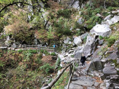 Ticino vadisinde yürüyüş ve yürüyüş parkurları, Monte Carasso - Ticino Kantonu, İsviçre