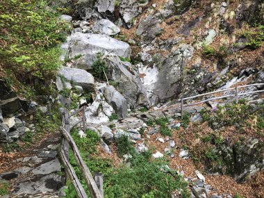 Ticino vadisinde yürüyüş ve yürüyüş parkurları, Monte Carasso - Ticino Kantonu, İsviçre