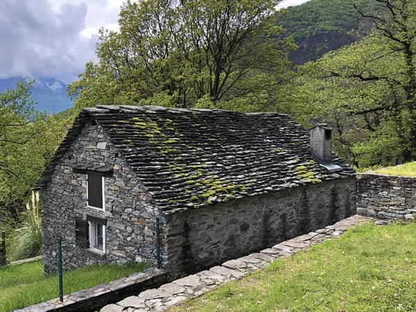 Lantlig Traditionell Arkitektur Med Boskapsgårdar Ticino River Valley Canton Ticino — Stockfoto