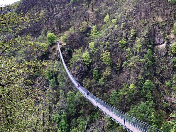 Tibet köprüsü Carasc veya Ponte Tibetano Valle di Sementina veya Tibetische Brucke Carasc, Monte Carasso - Ticino Kandonu, İsviçre