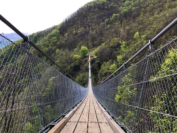 Ponte Tibetana Carasc Ponte Tibetano Valle Sementina Tibetische Brucke Carasc — Fotografia de Stock