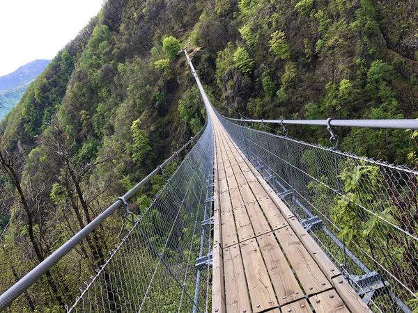 Ponte Tibetana Carasc Ponte Tibetano Valle Sementina Tibetische Brucke Carasc — Fotografia de Stock