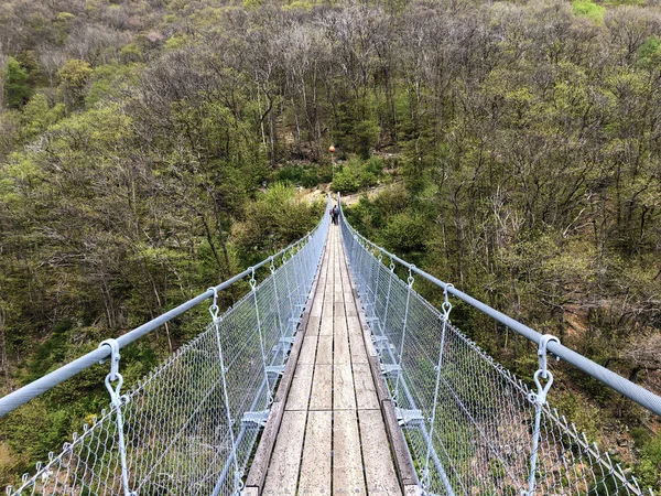 Tibetan Bridge Carasc Ponte Tibetano Valle Sementina Tibetische Brucke Carasc — Stock Photo, Image