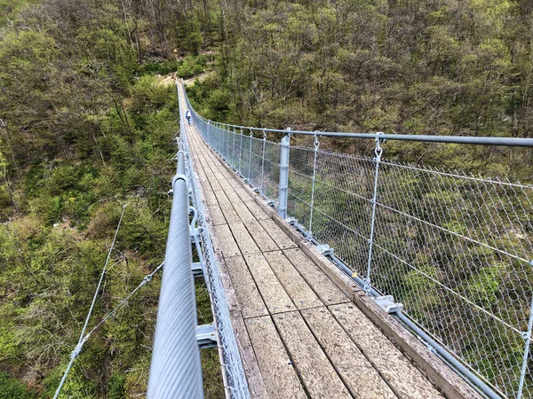 Tibetaanse Brug Carasc Ponte Tibetano Valle Sementina Tibetische Brucke Carasc — Stockfoto