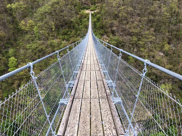 Ponte Tibetano Carasc Ponte Tibetano Valle Sementina Tibetische Brucke Carasc — Foto Stock