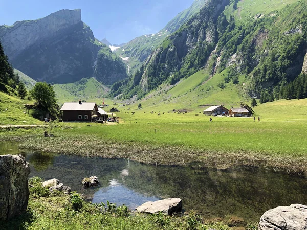 Ländliche Traditionelle Architektur Mit Viehzuchtbetrieben Appenzellerland Und Alpstein Kanton Appenzell — Stockfoto