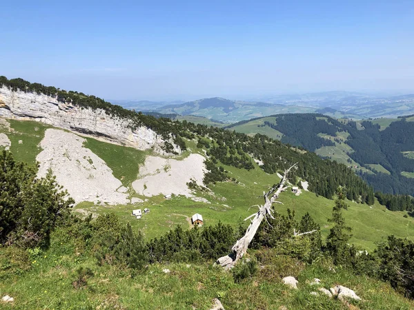 Alpské Pastviny Louky Oblasti Apenzellerland Parním Údolí Schwendebach Kantonu Appenzell — Stock fotografie