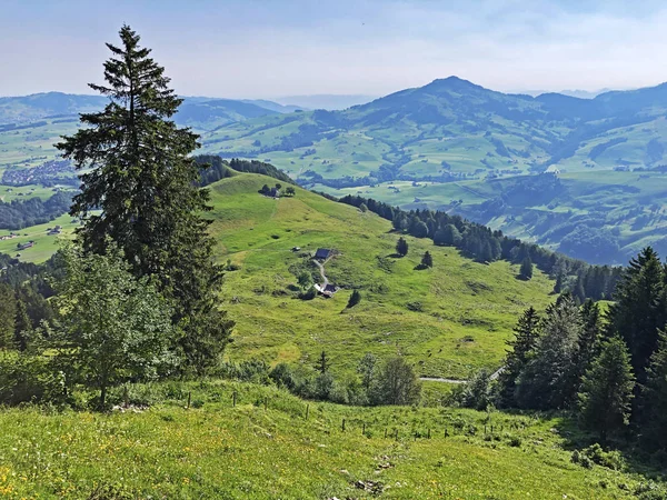 Alpské Pastviny Louky Oblasti Apenzellerland Parním Údolí Schwendebach Kantonu Appenzell — Stock fotografie