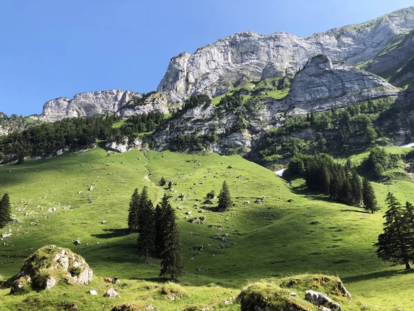 Alpejskie Pastwiska Łąki Regionie Apenzellerland Oraz Dolinie Parowej Schwendebach Canton — Zdjęcie stockowe