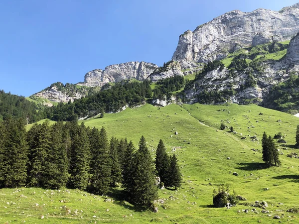 Alpesi Legelők Rétek Apenzellerland Régióban Schwendebach Gőz Völgyben Appenzella Innerrhoden — Stock Fotó