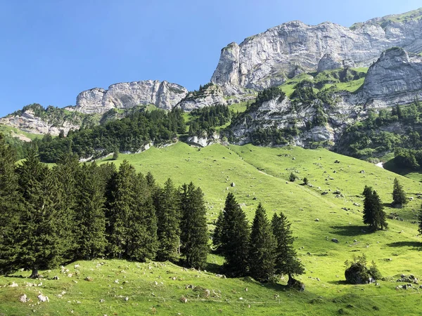 Alpina Betesmarker Och Ängar Regionen Apenzellerland Och Ång Dalen Schwendebach — Stockfoto