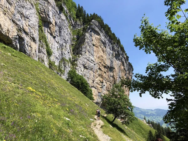 Aescher Felsen Nebo Ascher Felsen Pohoří Alpstein Oblasti Appenzellerland Kanton — Stock fotografie