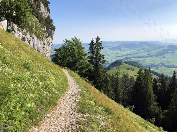 Hiking Walking Trails Ebenalp Mountain Appenzellerland Tourist Region Canton Appenzell — Stock Photo, Image