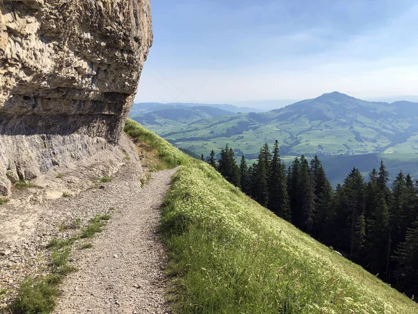 Wandel Wandelpaden Ebenalp Berg Toeristische Regio Appenzellerland Canton Appenzell Innerrhoden — Stockfoto