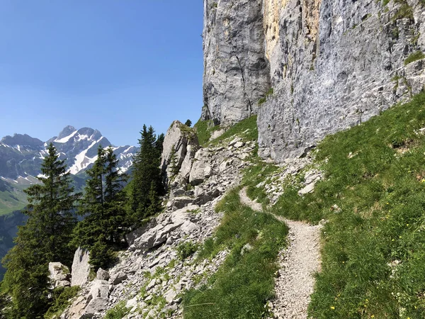 Drumeții Trasee Mers Jos Muntele Ebenalp Regiunea Turistică Appenzellerland Cantonul — Fotografie, imagine de stoc