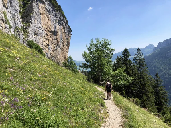 Hiking and walking trails on the Ebenalp Mountain and in the Appenzellerland Tourist Region - Canton of Appenzell Innerrhoden (AI), Switzerland