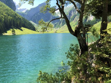 Alpstein sıradağlarında ve Appenzellerland bölgesinde Bulunan Seealpsee Alp Gölü - Appenzell Innerrhoden Kantonu (Ai), İsviçre