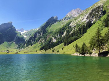 Alpstein sıradağlarında ve Appenzellerland bölgesinde Bulunan Seealpsee Alp Gölü - Appenzell Innerrhoden Kantonu (Ai), İsviçre