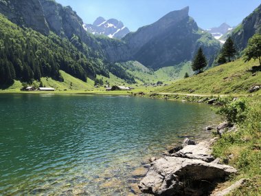 Alpstein sıradağlarında ve Appenzellerland bölgesinde Bulunan Seealpsee Alp Gölü - Appenzell Innerrhoden Kantonu (Ai), İsviçre