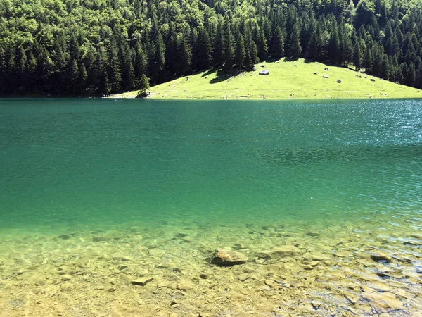 Alpský Jezero Seealpsee Pohoří Alpstein Oblasti Appenzellerland Kanton Appenzell Innerrhoden — Stock fotografie