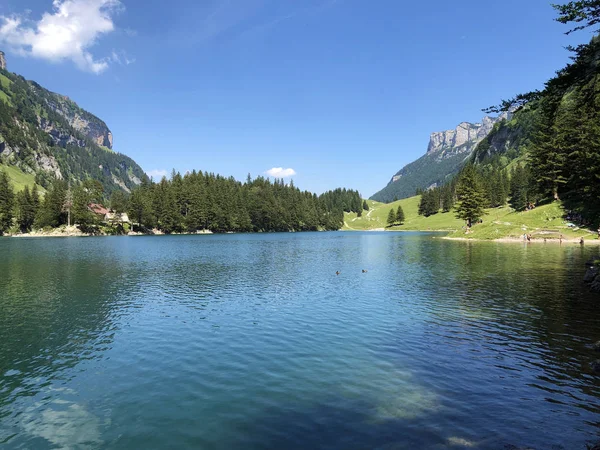 Lago Alpino Seealpsee Cordillera Alpstein Región Appenzellerland Cantón Appenzell Innerrhoden — Foto de Stock