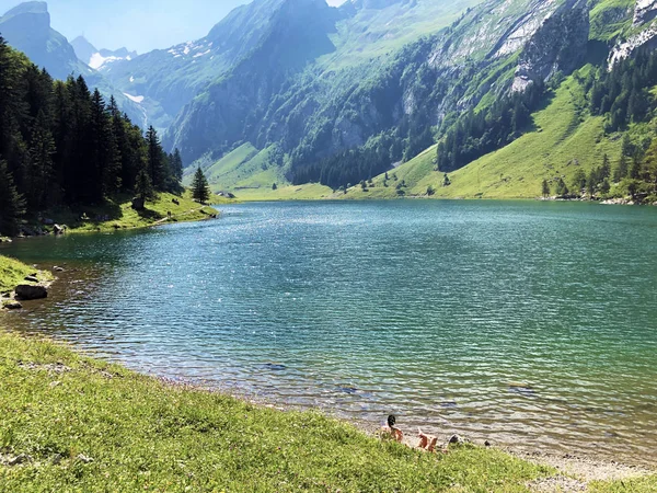 Lago Alpino Seealpsee Cordillera Alpstein Región Appenzellerland Cantón Appenzell Innerrhoden — Foto de Stock