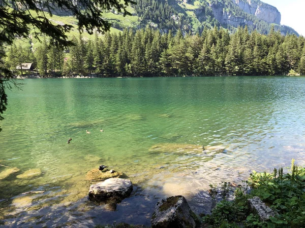 Αλπική Λίμνη Seealpsee Στην Οροσειρά Alpstein Και Στην Περιοχή Του — Φωτογραφία Αρχείου