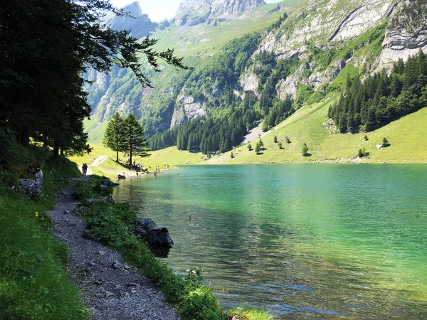 沿着塞尔普塞高山湖和阿彭策勒兰旅游区 阿彭策尔内霍登州 瑞士阿彭策尔州风景如画的圆形步行道 — 图库照片