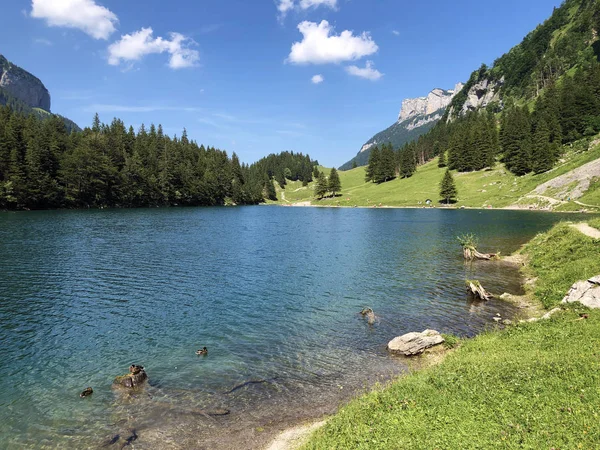 Pittoresco Sentiero Circolare Lungo Lago Alpino Del Seealpsee Nella Regione — Foto Stock