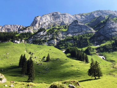Alpstein sıradağlarında ve Appenzellerland bölgesinde Alp zirvesi Schafberg - Appenzell Innerrhoden Kantonu (Ai), İsviçre